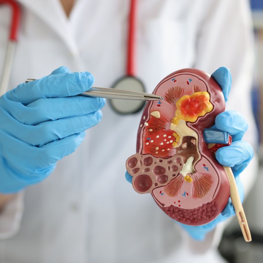 urologia-ccsr